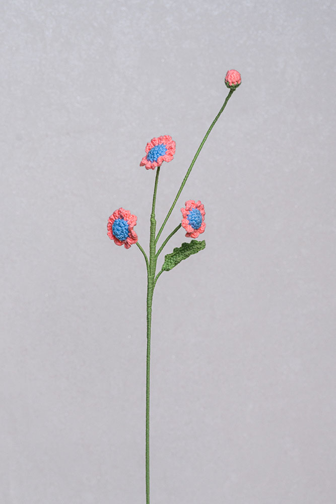 Hand-crocheted Little Daisy Flower - Image 7