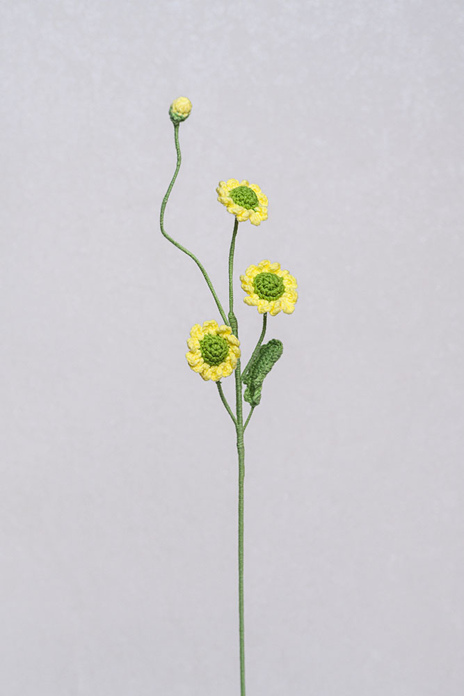 Hand-crocheted Little Daisy Flower - Image 8