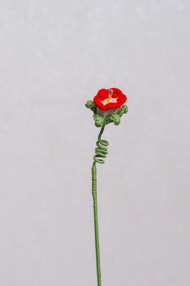 Hand-crocheted Bellflower Flower - Image 7